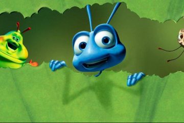 زندگی یک حشره